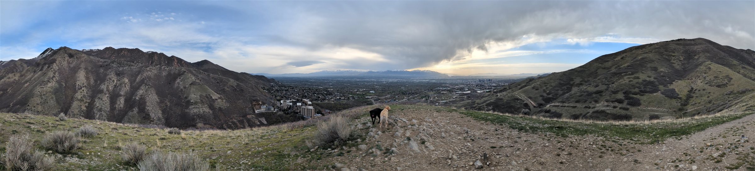 Alex hiking a Salt Lake valley overlook with his two dogs, Lily and Kona